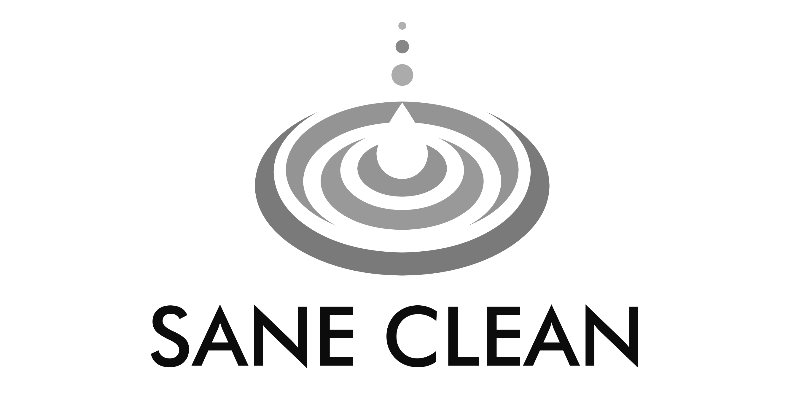 SANE CLEAN